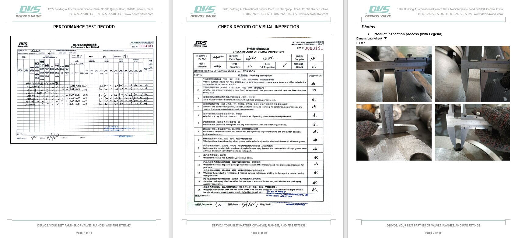 Inspection Report for Swing Check Valve