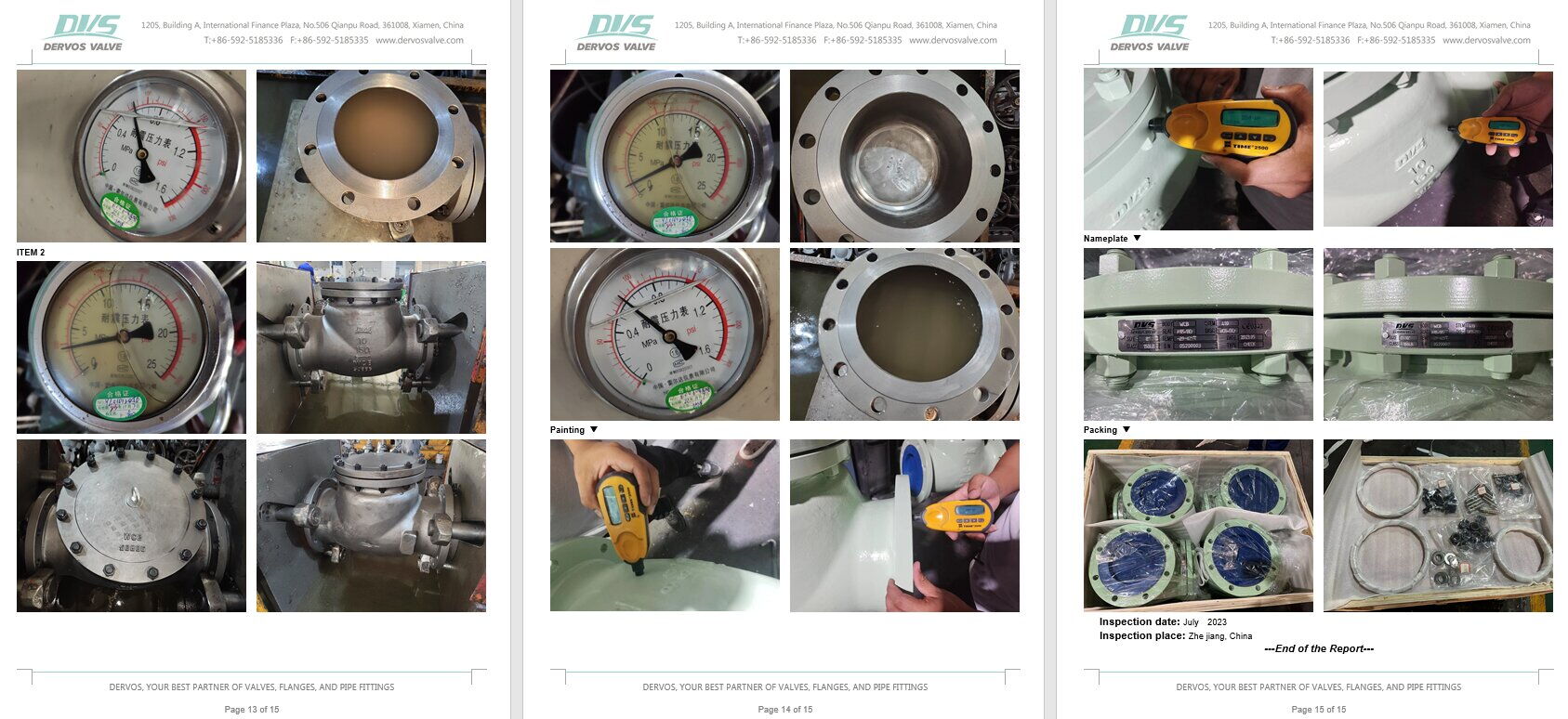 Inspection Report for Swing Check Valve