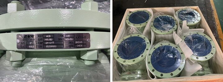 Nameplate & Packing for Swing Check Valve