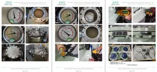 Inspection Report for Swing Check Valve