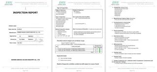 Inspection Report for Swing Check Valve
