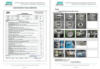 Inspection Report for Wafer Check Valve