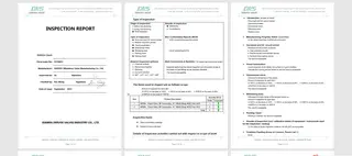 Inspection report