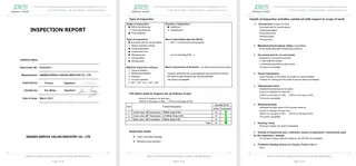 Inspection Report