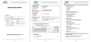 Inspection Report