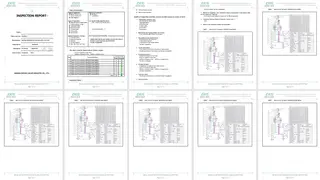 Inspection Report