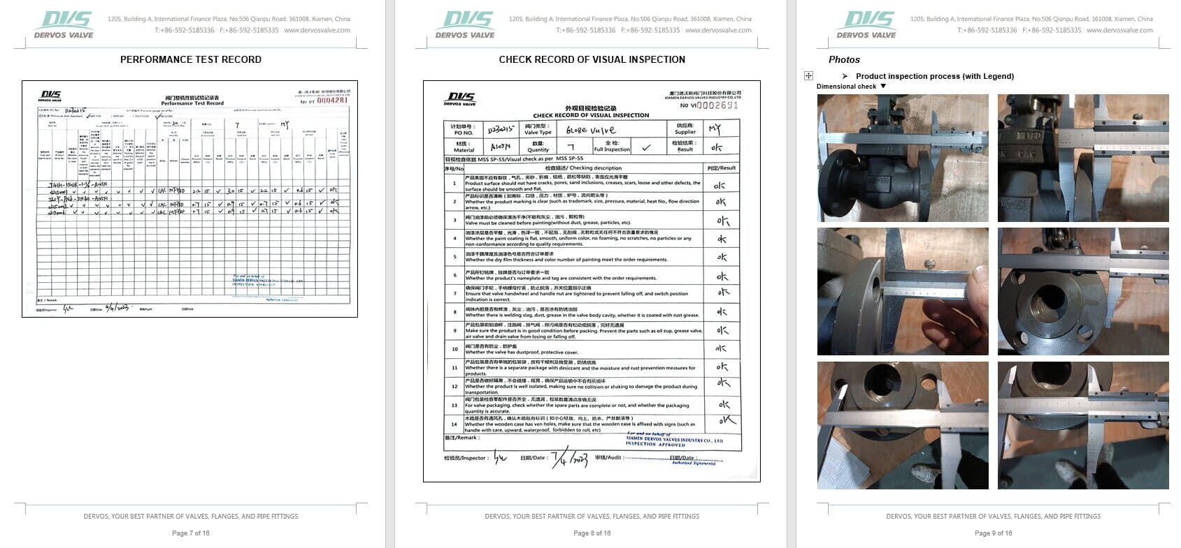 Inspection Report for Globe Valve