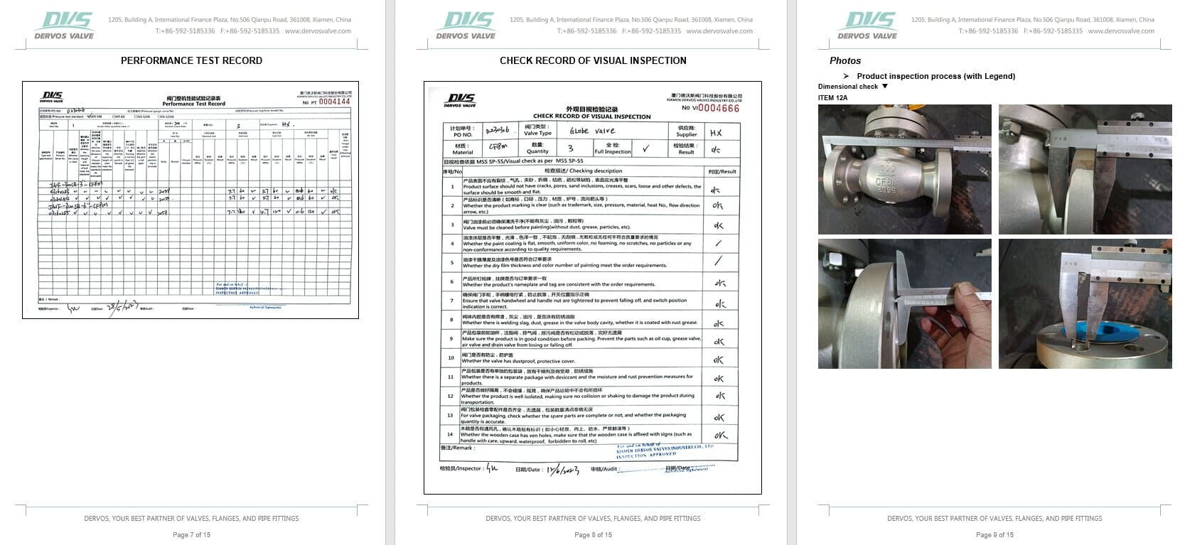 Inspection Report for Globe Valve