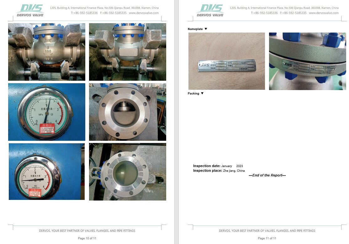 Inspection Report Inspection Report