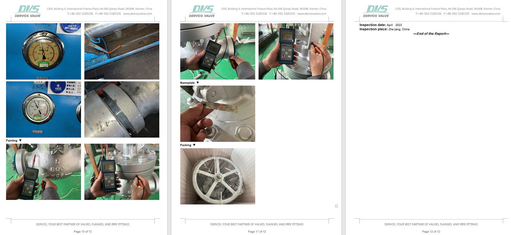 Inspection Report for Globe Valve