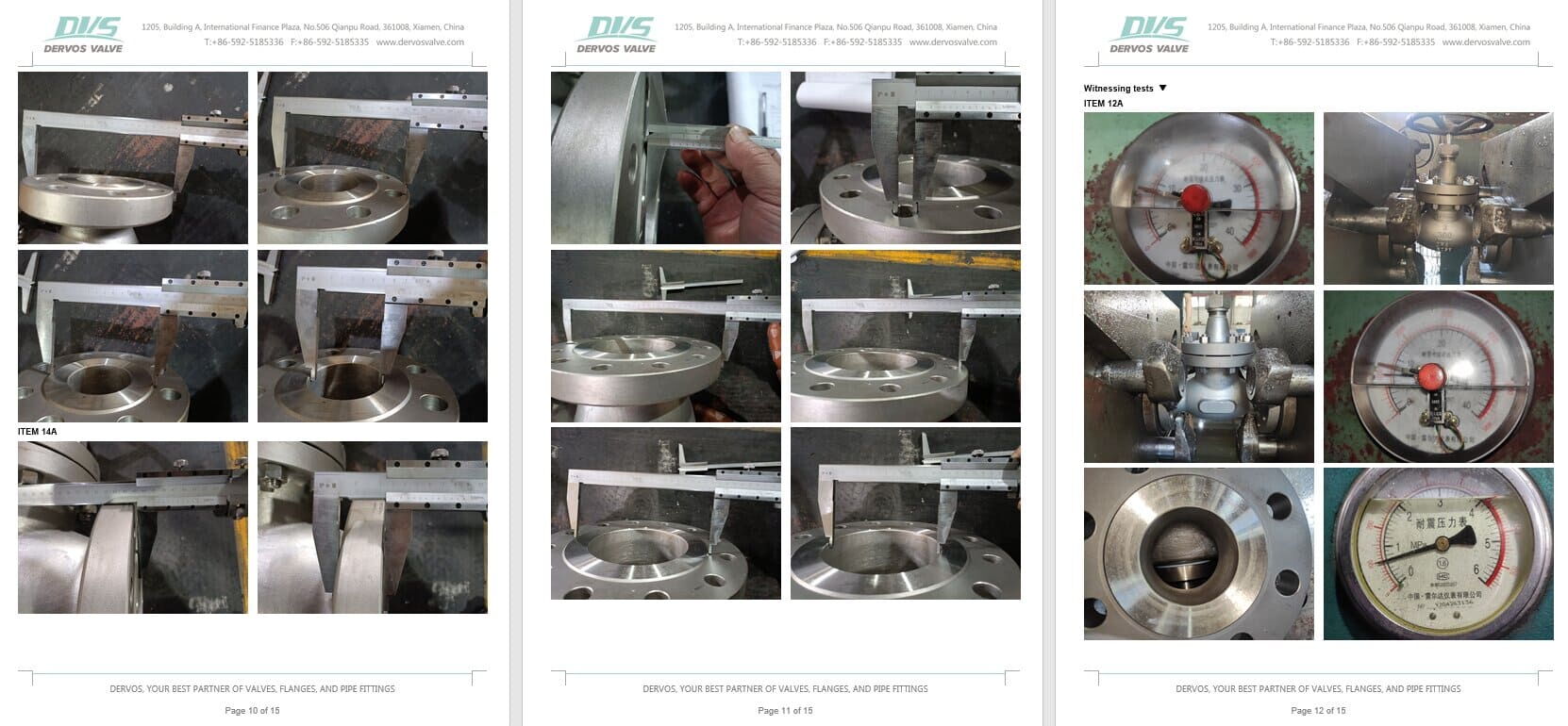 Inspection Report for Globe Valve