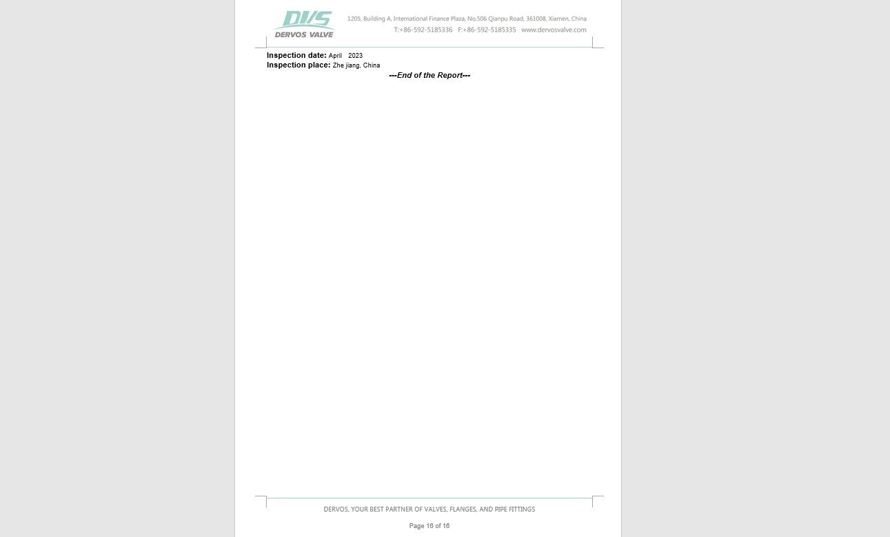 Inspection Report for Globe Valve
