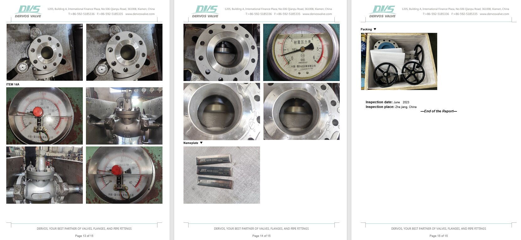 Inspection Report for Globe Valve