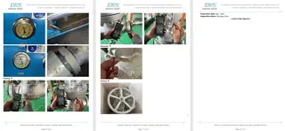 Inspection Report for Globe Valve