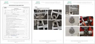 Inspection Report Three