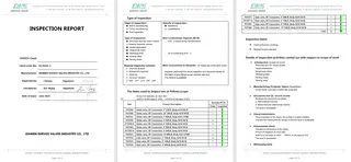 Inspection Report