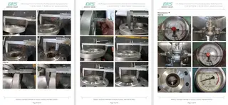 Inspection Report for Globe Valve