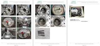 Inspection Report for Globe Valve