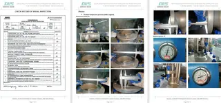 Inspection Report