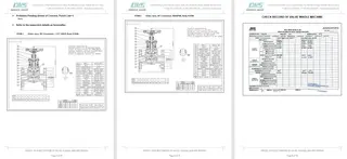Inspection Report for Globe Valve