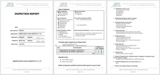 Inspection Report One