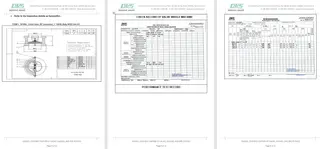 Inspection Report