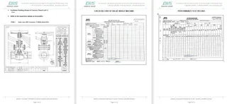 Inspection Report for Globe Valve