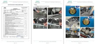 Inspection Report for Globe Valve