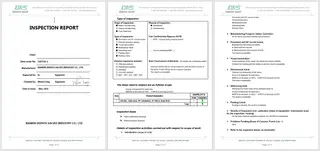 Inspection Report One