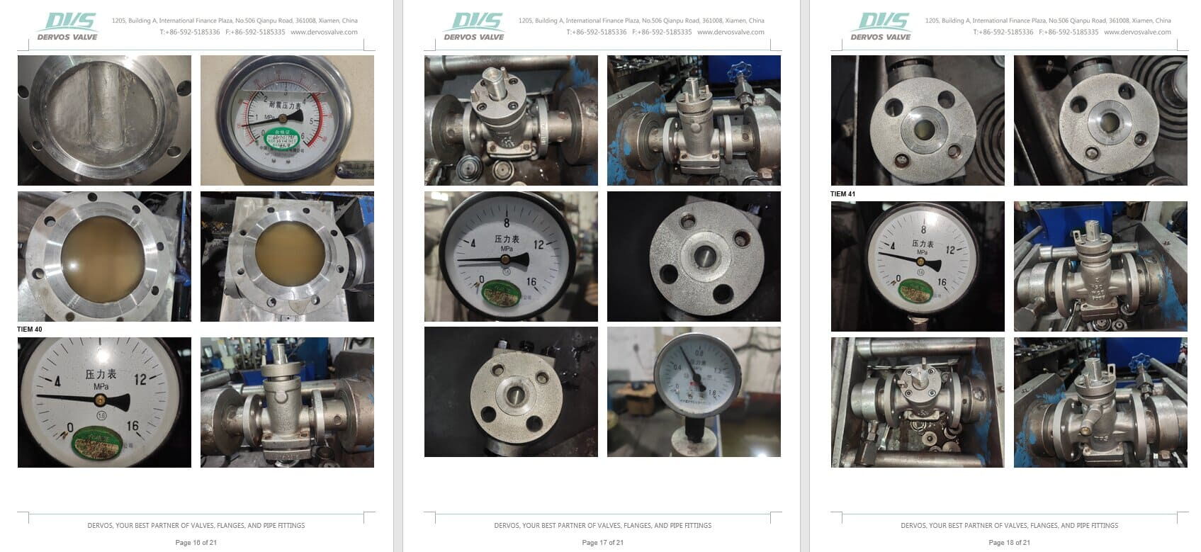 Inspection Report for Plug Valve