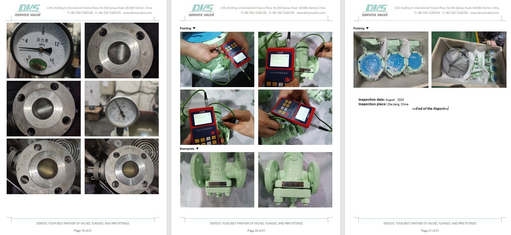 Inspection Report for Plug Valve