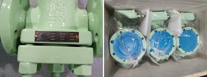 Nameplate & Packing for Plug Valve