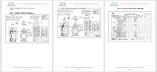 Inspection Report