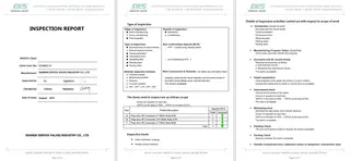 Inspection Report for Plug Valve