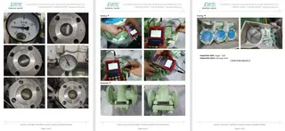 Inspection Report for Plug Valve