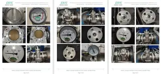 Inspection Report for Plug Valve