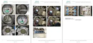 Inspection Report
