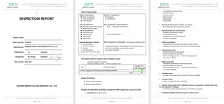 Inspection Report