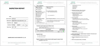 Inspection Report One