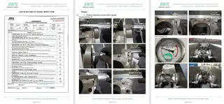 Inspection Report