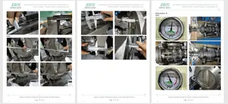 Inspection Report
