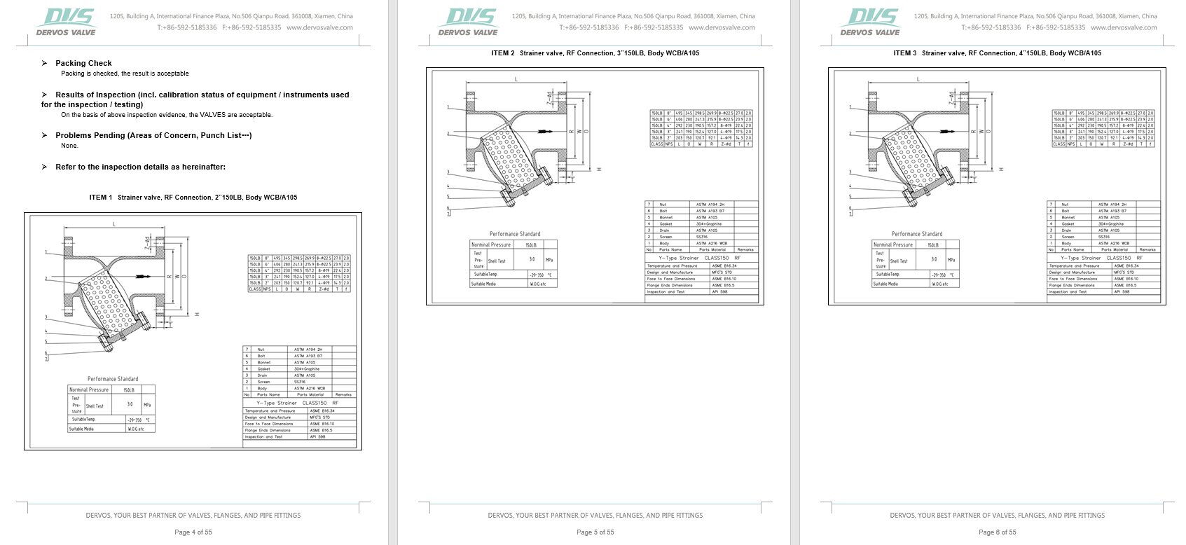 Inspection Report for Y Strainer