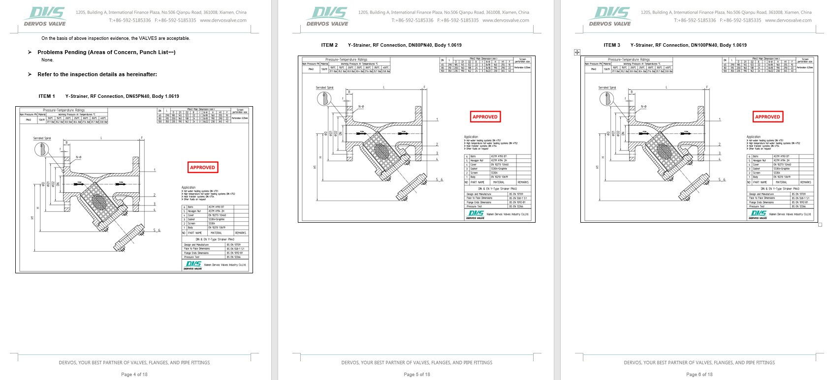 Inspection Report for Y Type Strainer