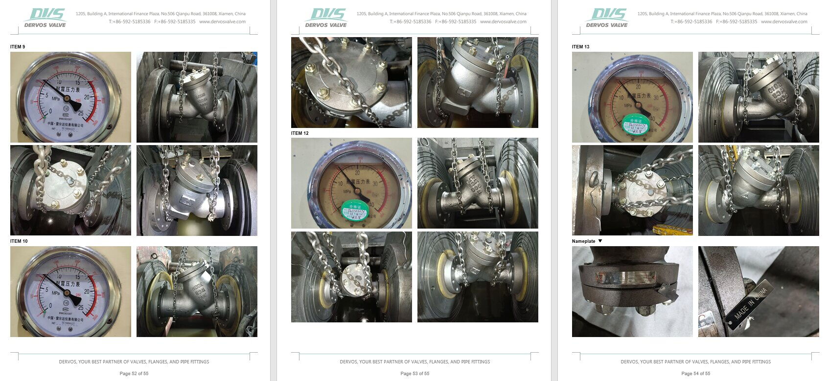 Inspection Report for Y Strainer