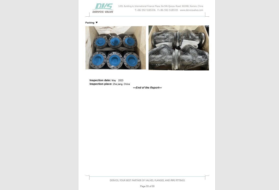 Inspection Report for Y Strainer