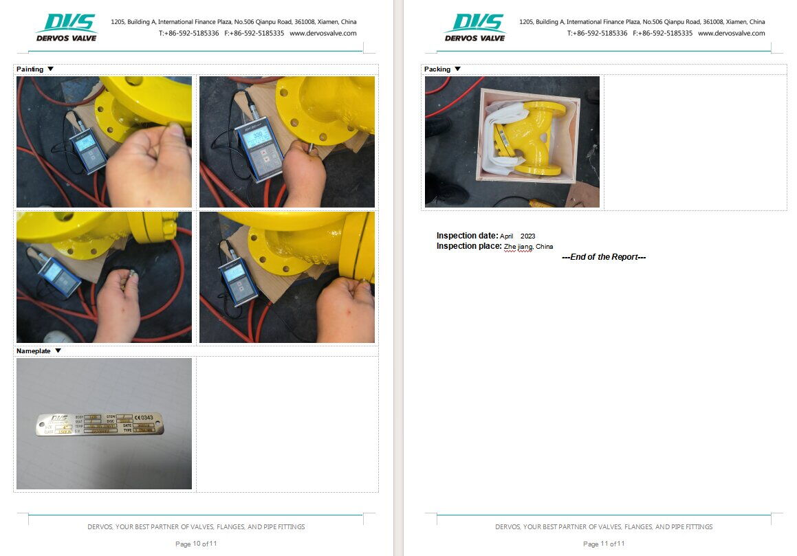 Inspection Report