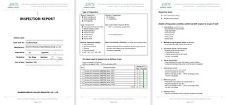 Inspection Report for Y Strainer
