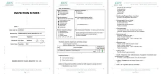 Inspection Report
