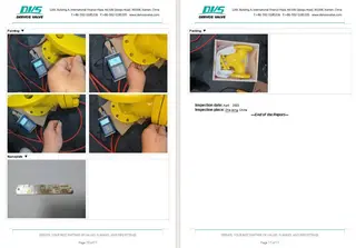 Inspection Report
