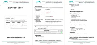 Inspection Report